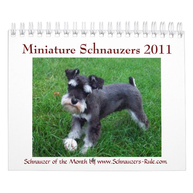 2016 Miniature Schnauzer Calendar (Cover)