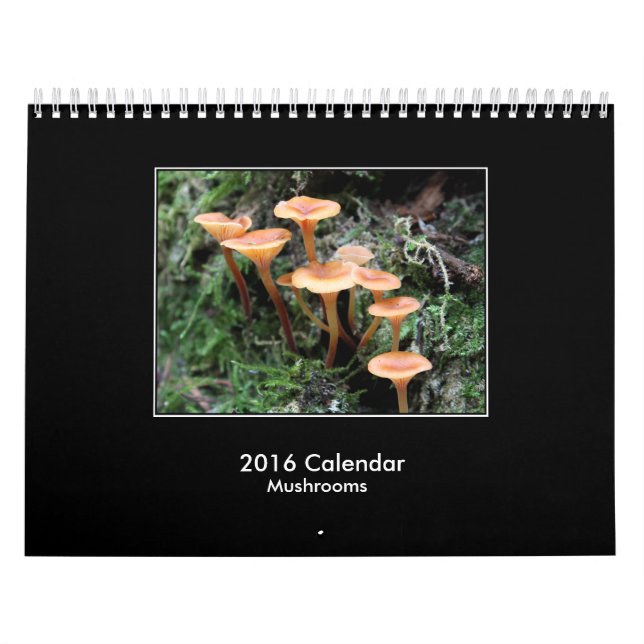 2016 Mushroom Calendar (Cover)
