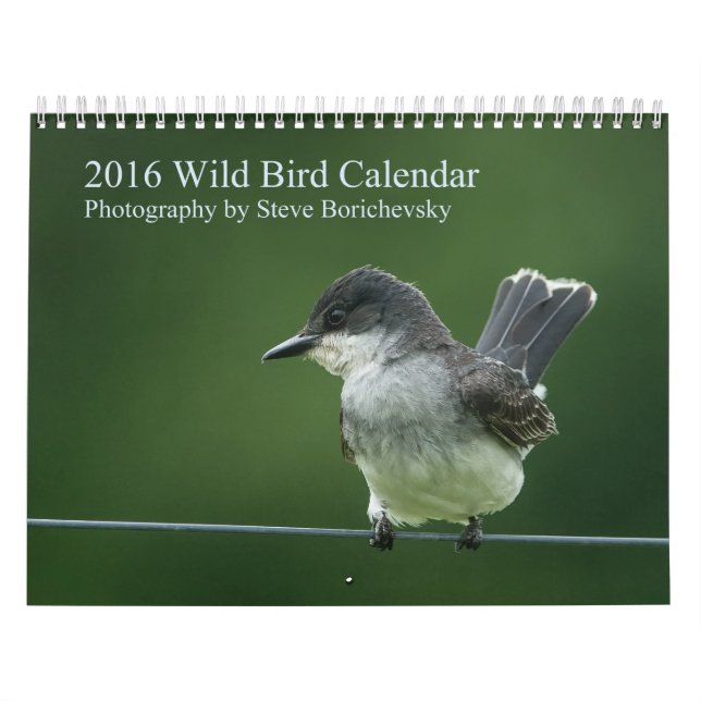 2016 Wild Bird Calendar (Cover)