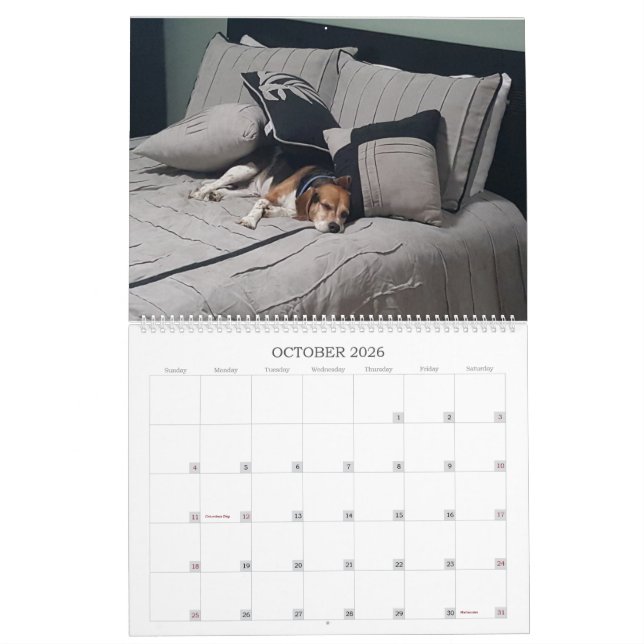 2017 Beagle Calendar (Oct 2026)