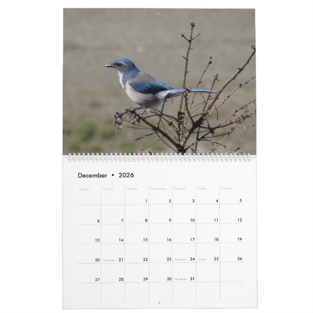 2017  Birds of North America Calendar (Dec 2026)