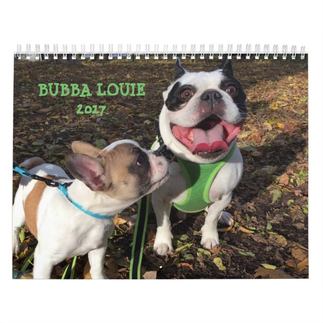 2017 BUBBA LOUIE CALENDAR (Cover)