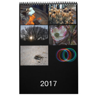 2017 Calendar