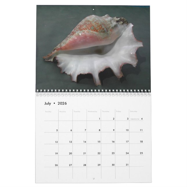 2017 Calendar of Shells (Jul 2026)