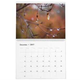 2017 Calendar, Photos by Eric Johnson Calendar