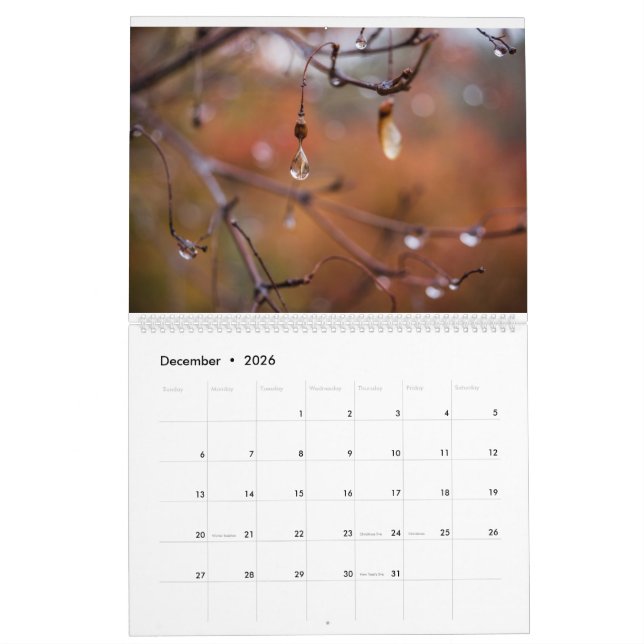 2017 Calendar, Photos by Eric Johnson Calendar (Dec 2026)