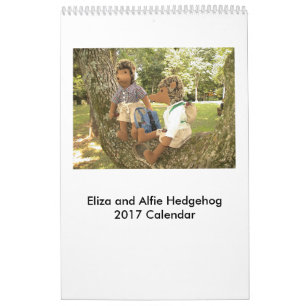 2017 Hedgehog Doll Calendar