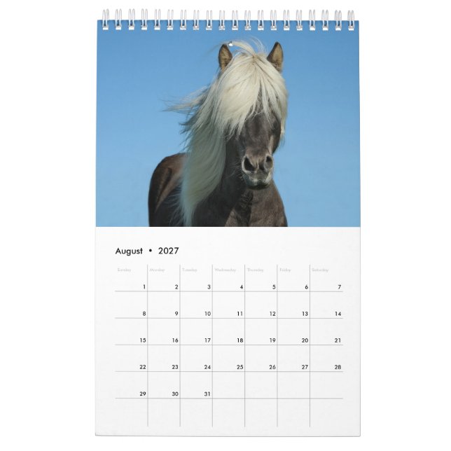 2017 Horse Calendar (Aug 2027)