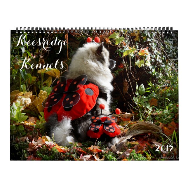 2017 KEESRIDGE KENNELS CALENDAR (Cover)