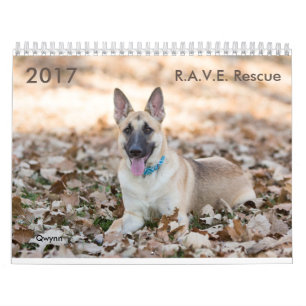 2017 R.A.V.E. Rescue Calendar