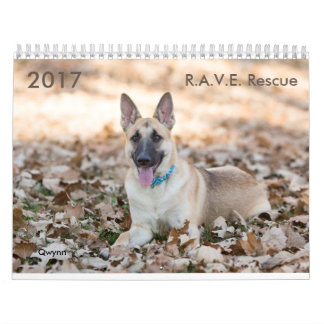 2017 R.A.V.E. Rescue Calendar