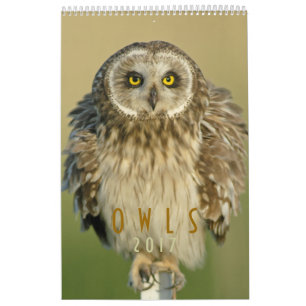 2017 Wall Calendar for Owl Lovers