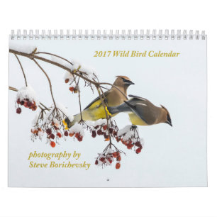 2017 Wild Bird Calendar