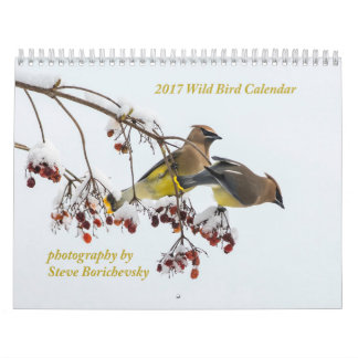 2017 Wild Bird Calendar