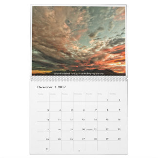 2017 year in pictures and verse calendar