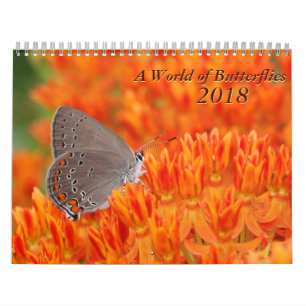 2018 Butterfly Calendar