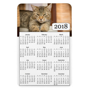2018 Calendar Personalised Cat Photo Magnet