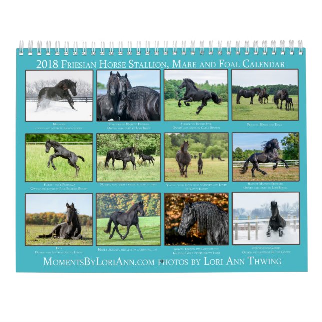2018 Friesian Mare, Foal and Stallion Calendar (Back)