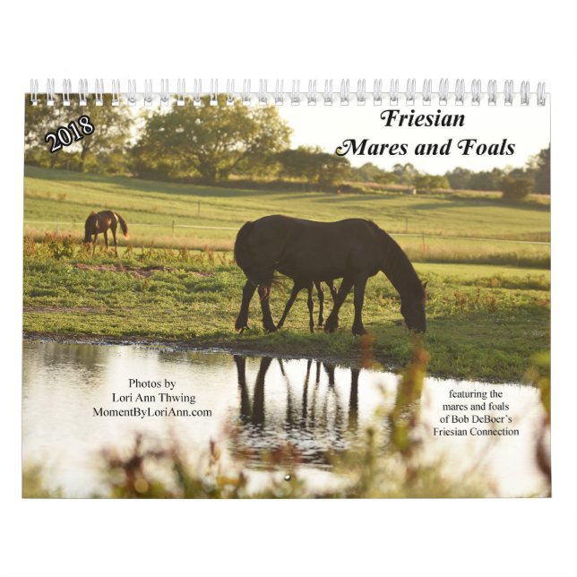 2018 Friesian Mares and Foals Calendar (Cover)