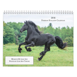 2018 Friesian Stallion Calendar