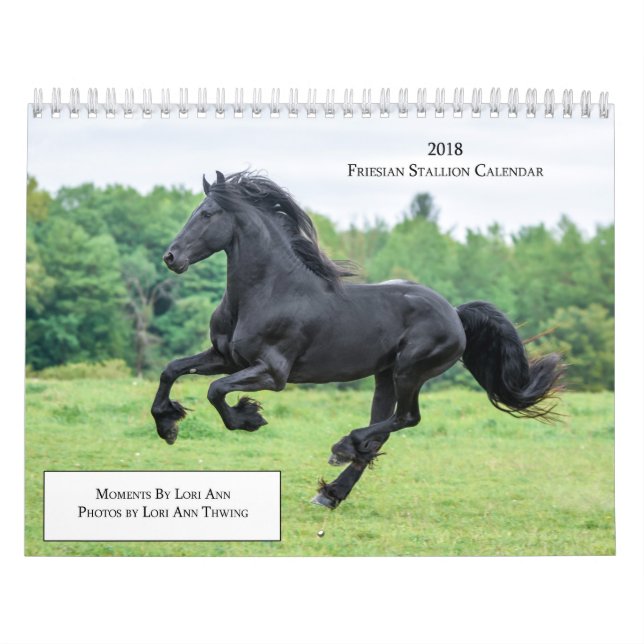 2018 Friesian Stallion Calendar (Cover)