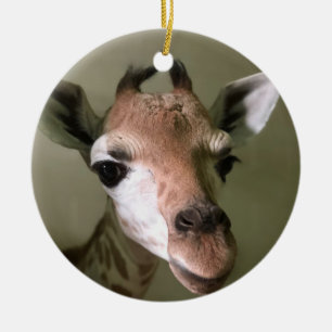 2018 Holiday Ornament; Penny the Giraffe Ceramic Tree Decoration