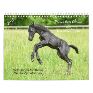 2018 Inspirational Friesian Horse Calendar