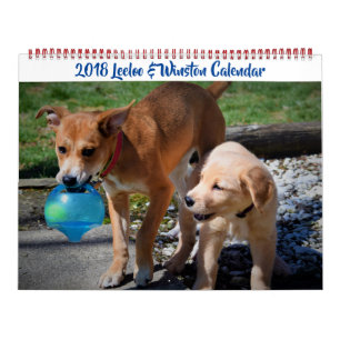 2018 Leeloo & Winston Large 2 Page Calendar