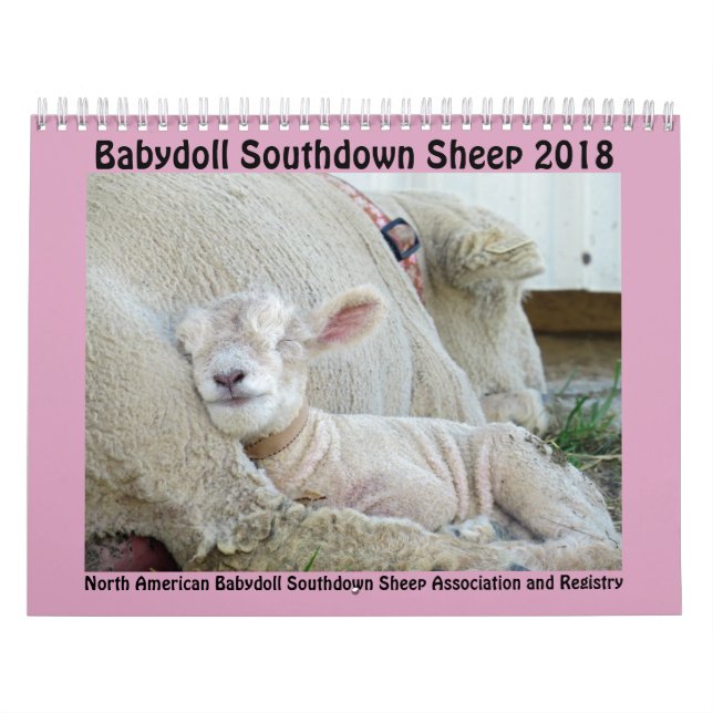2018 NABSSAR Babydoll Southdown sheep calendar (Cover)