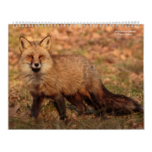 2018 Nature Calender