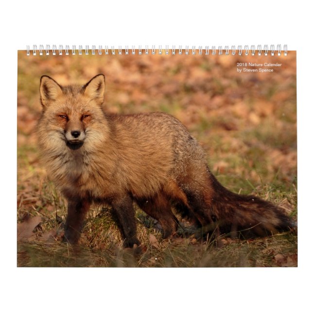 2018 Nature Calender Calendar (Cover)