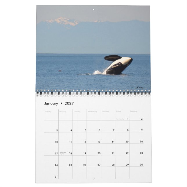 2018 Southern Resident Killer Whale Calendar (Jan 2027)