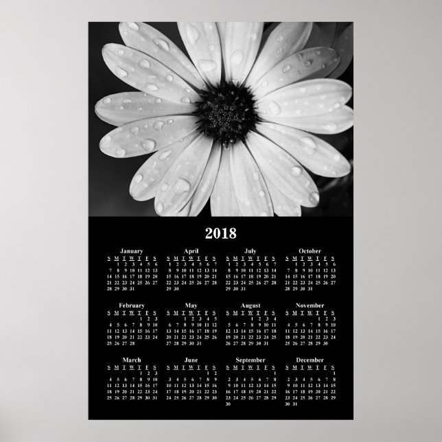 2018 Wall Calendar African Daisy Poster (Front)