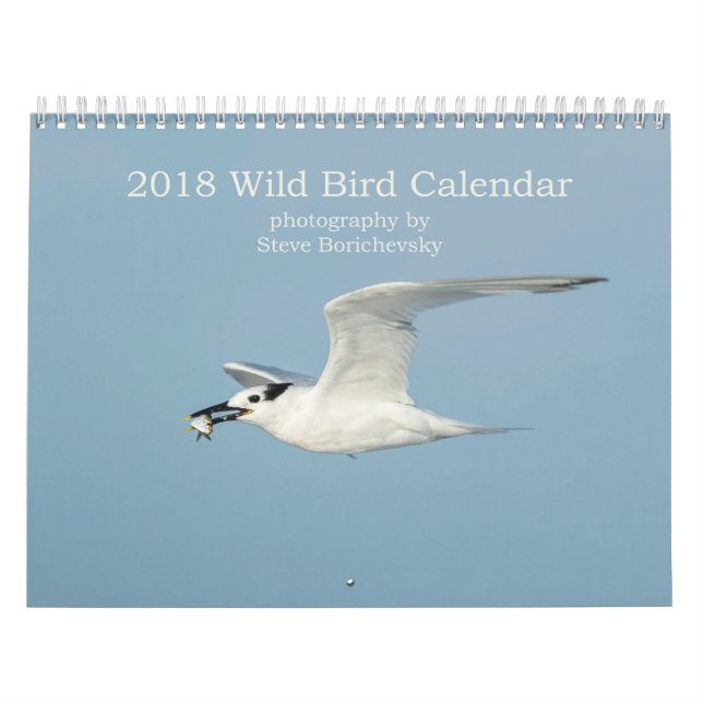 2018 Wild Bird Calendar (Cover)