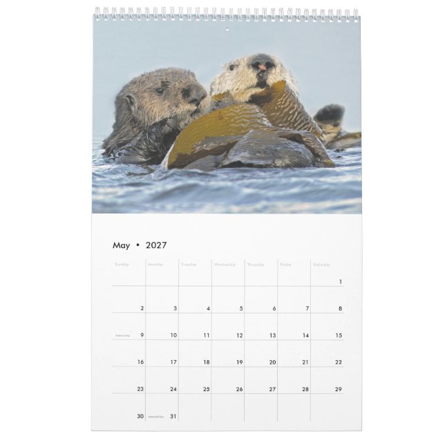 2018 Wildlife Wall Calendar - Into the Wild (May 2027)