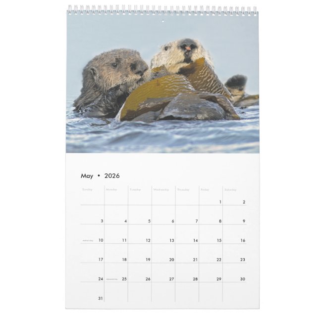 2018 Wildlife Wall Calendar - Into the Wild (May 2026)