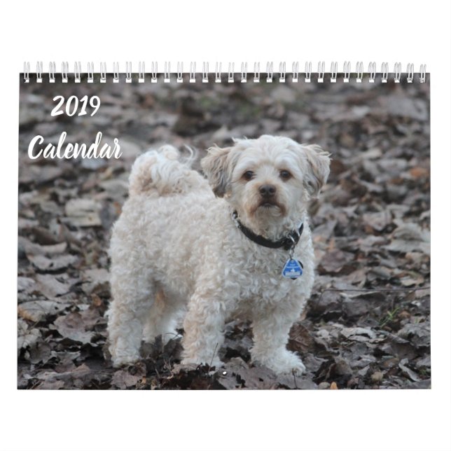 2019 Calendar Cute Poodle Dog Images (Cover)