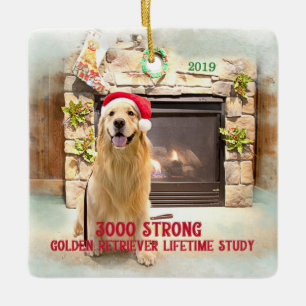 2019 Christmas Ornament - 3000 Strong