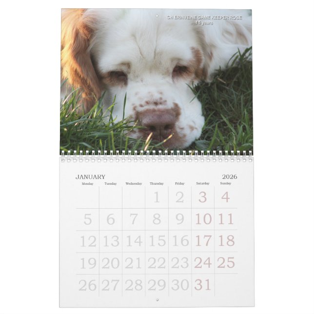 2019 Erinveine Calendar - Clumber Spaniels (Jan 2026)