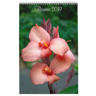 2019 Flowers Wall Calendar by Lisa Blake