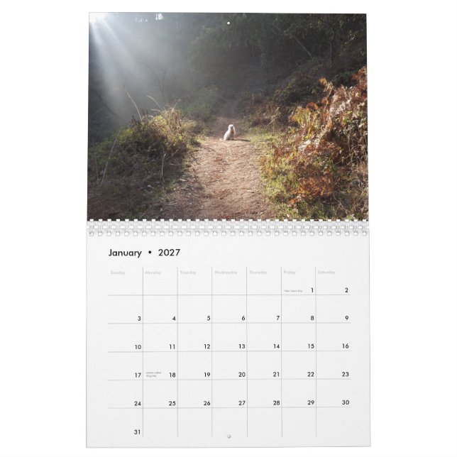 2019 Gwendolyn Calendar - Medium (Jan 2027)
