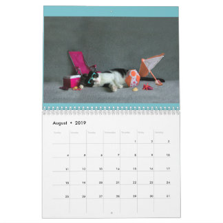 2019 Scottish Fold calendar