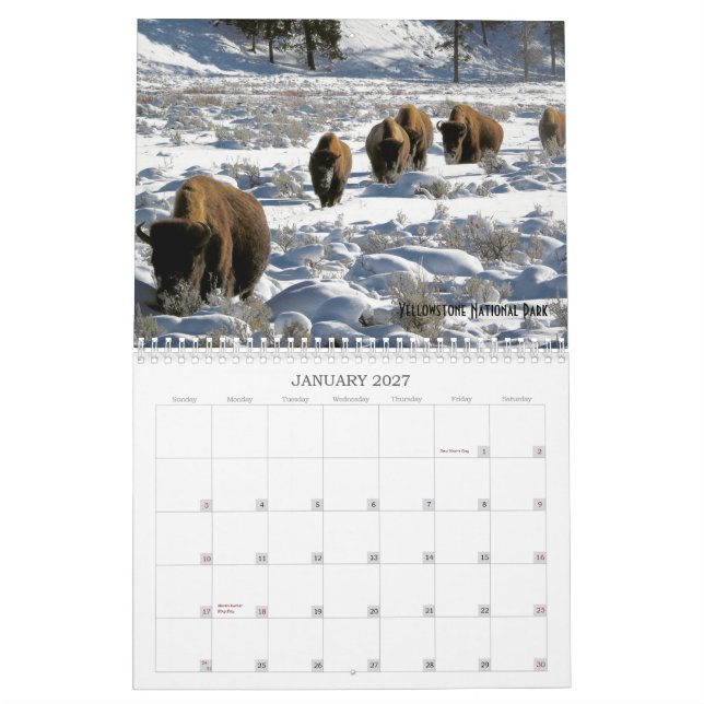 2019 US Public Lands Wildlife Calendar (Jan 2027)