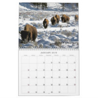 2019 US Public Lands Wildlife Calendar