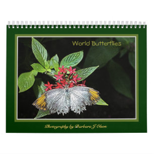 * 2019 World Butterflies Wall Calendar