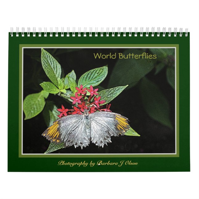 * 2019 World Butterflies Wall Calendar (Cover)