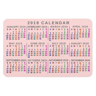 2019 Year Monthly Calendar Blush Pink Colourful Magnet
