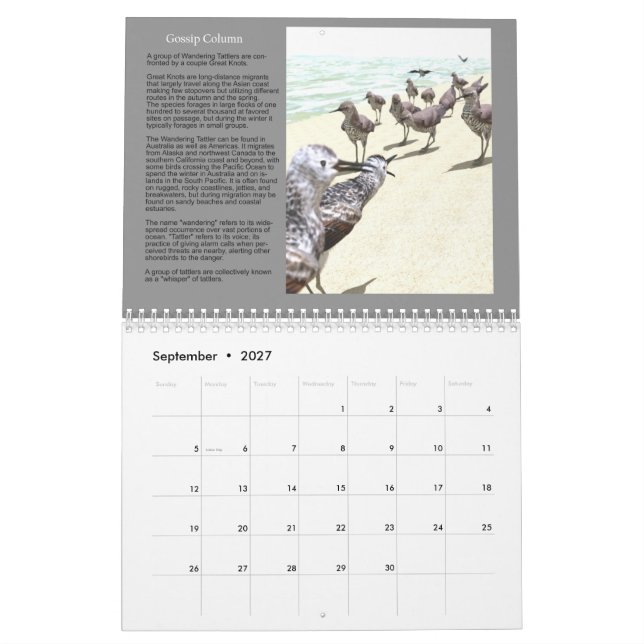 2020 3D Digital Art Nature Calendar (Sep 2027)