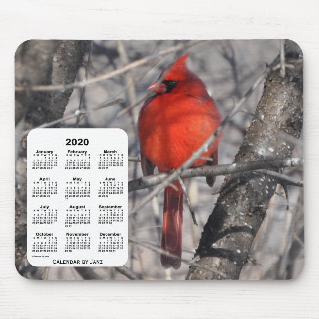 2020 Cardinal Bird Calendar by Janz Mouse Pad (Front)