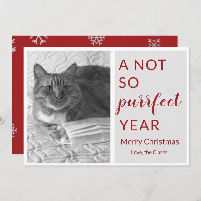 2020 Christmas not so perfect year funny cat/pet Holiday Card (Front/Back)
